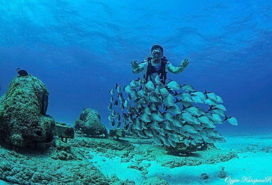 Museo Subacuático de Arte